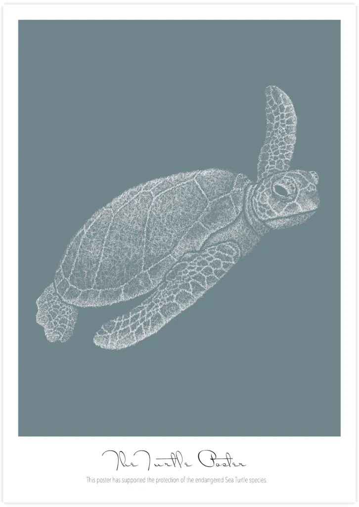The Turtle Poster